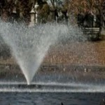 For Your Island: The Green-Wood Cemetery