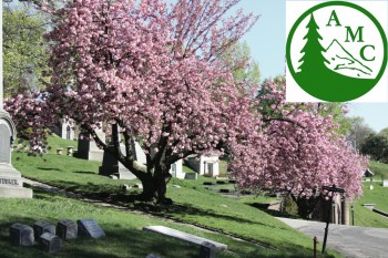 Green-Wood Cherry Tree, AMC Logo
