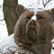 A Dusting Of Snow . . .