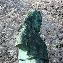 An Early Spring.