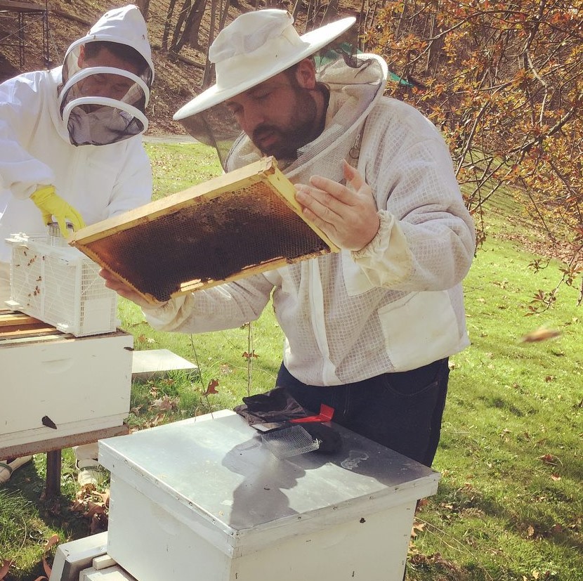 Beekeeping 101 Green Wood