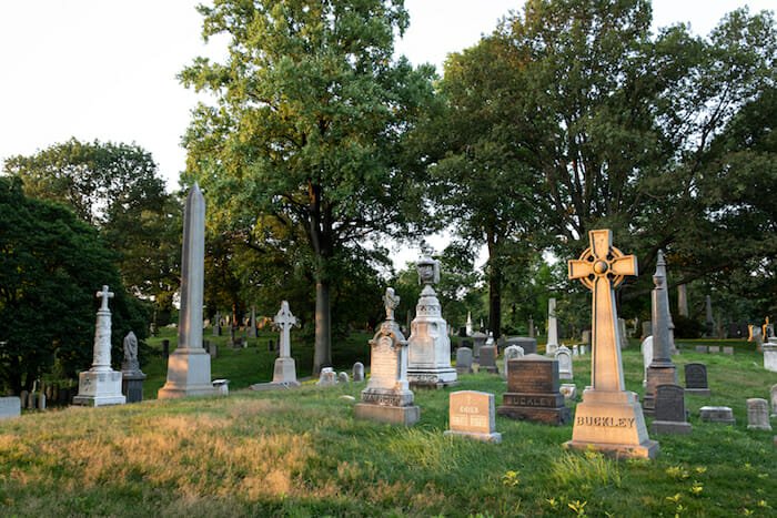 sunlit graves scene