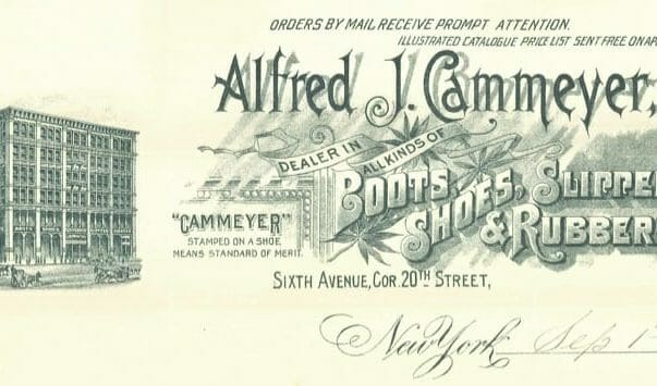 cammeyer