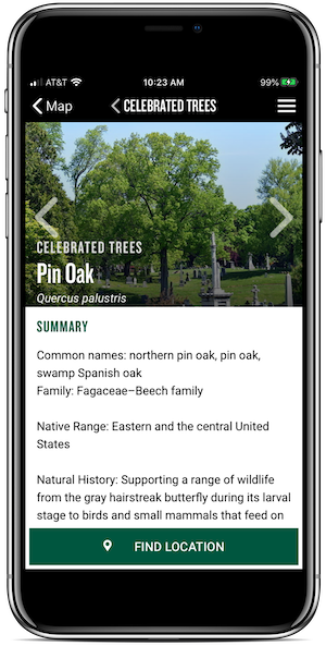 app tree info screen