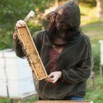 beekeeper with hives