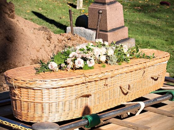 natural, eco-friendly woven green casket