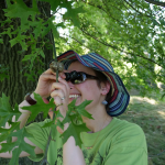 person in hat with magnifying tool inspects leaf gall