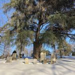 large tree and gravestones in the snow
