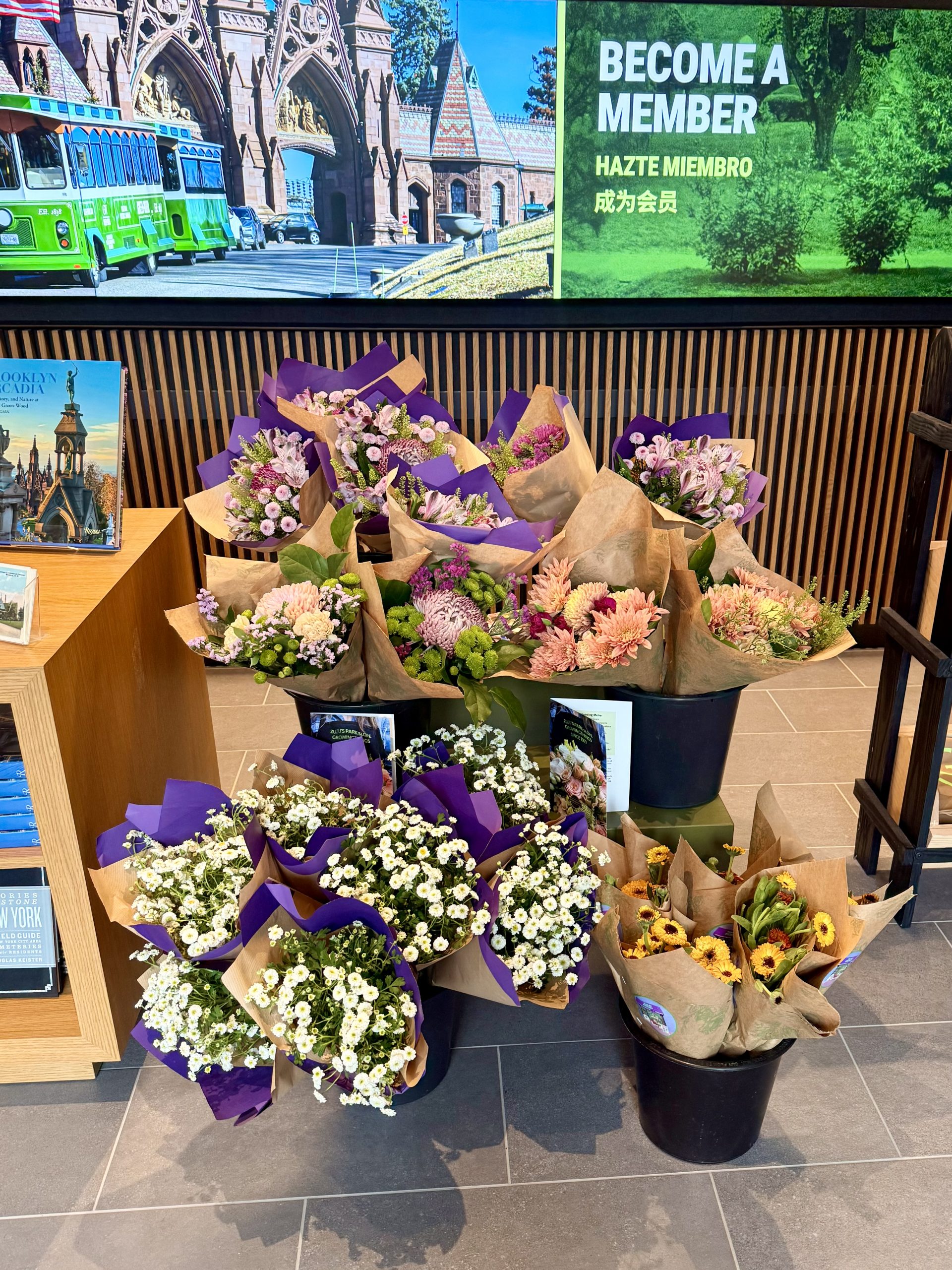 image of flowers