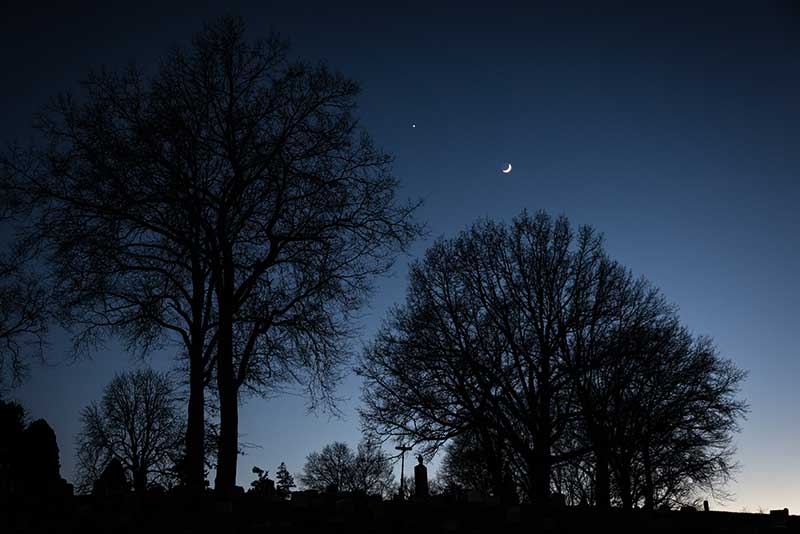 images of some trees at Green-Wood Cemetery at night